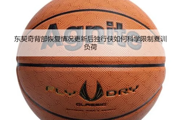 img_1785136953529_376_1_435.jpg